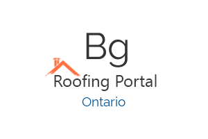 BG Roofing Plus