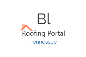 BLUE MOON CONSTRUCTION COMPANY