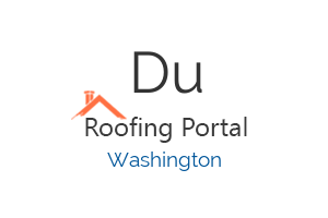 DuPont Roof Repair