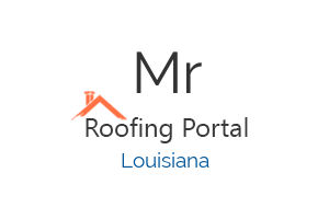 Mr. Joe & Son Roofing