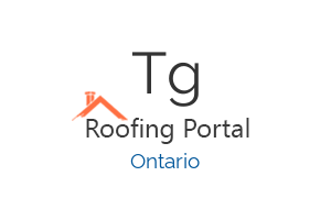 T & G Roofing Plus