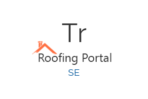Tradewise Roofing Services in Staines